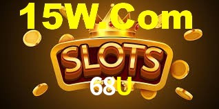 Premium Interface 68U